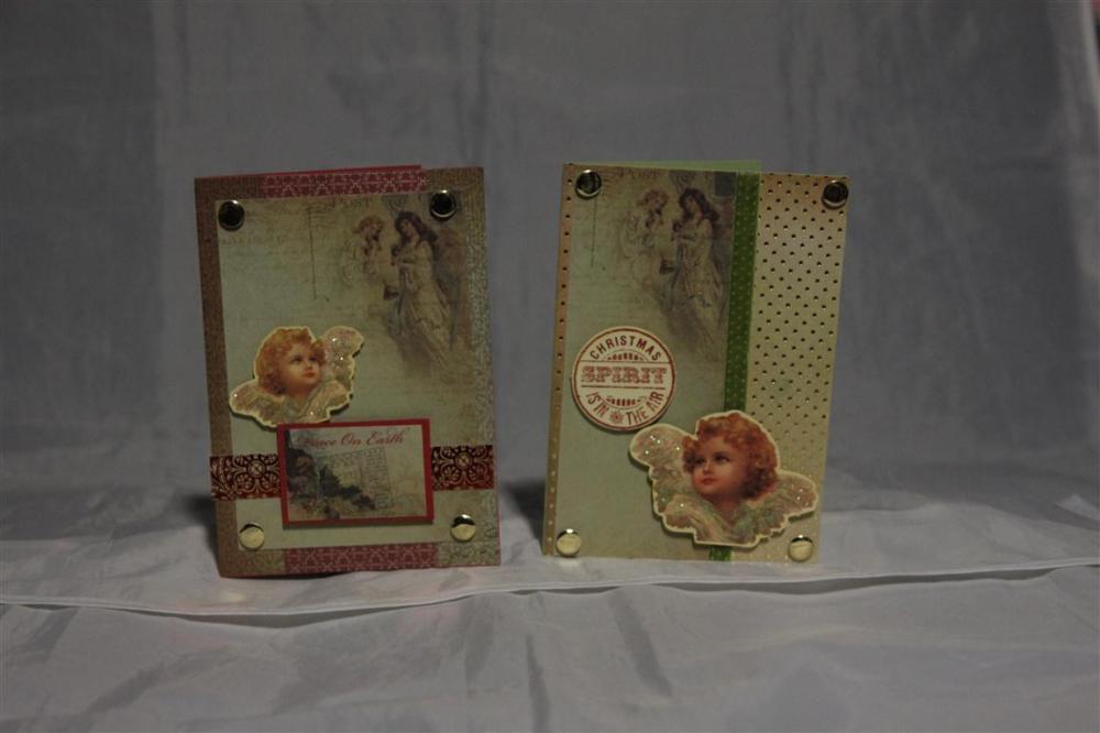 turtle dove 15 and 16